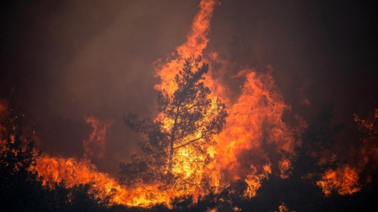 Yunanistan’daki yangınlarda 1.5 milyon dönüm arazi kül oldu