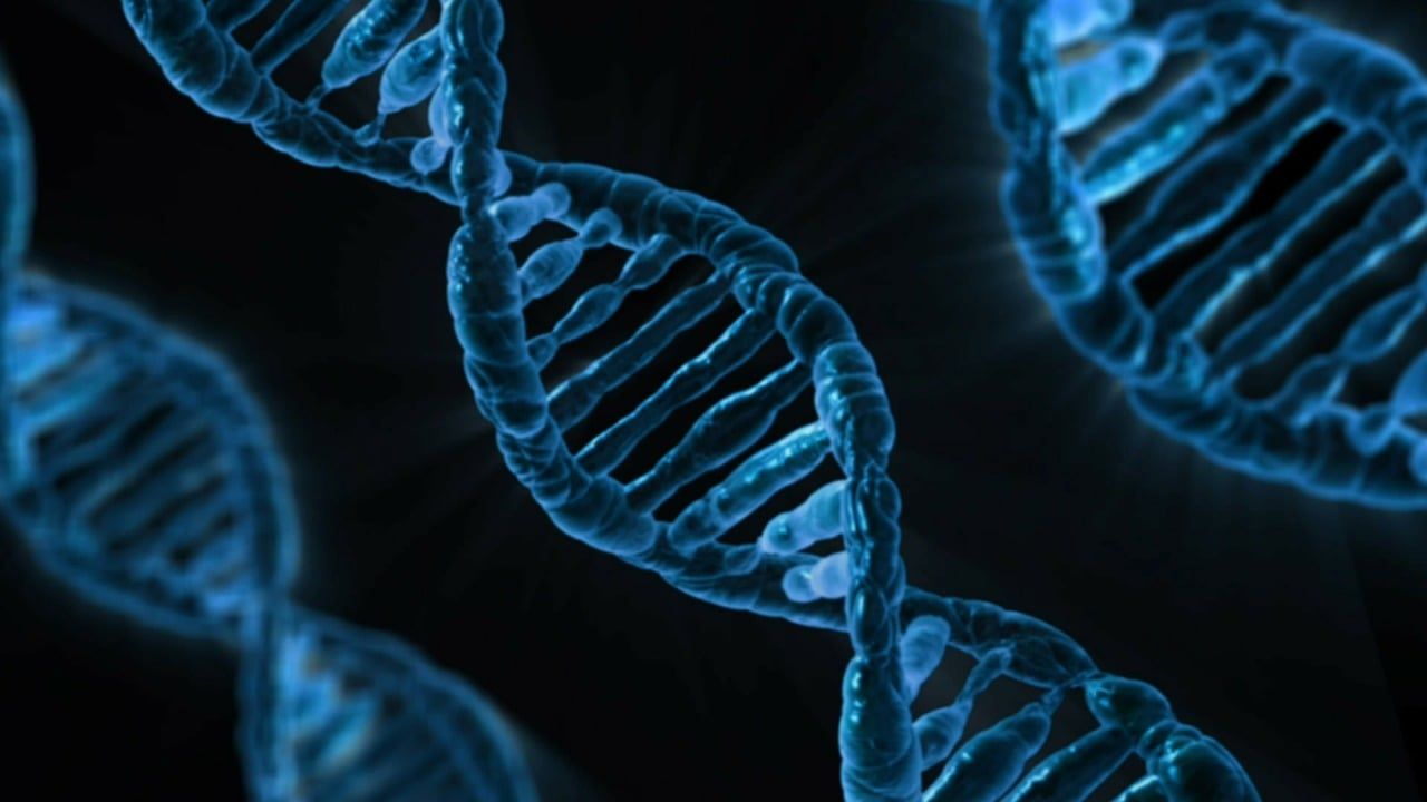 Genetik testler kanser riskinin belirlenmesine yardımcı olabilir