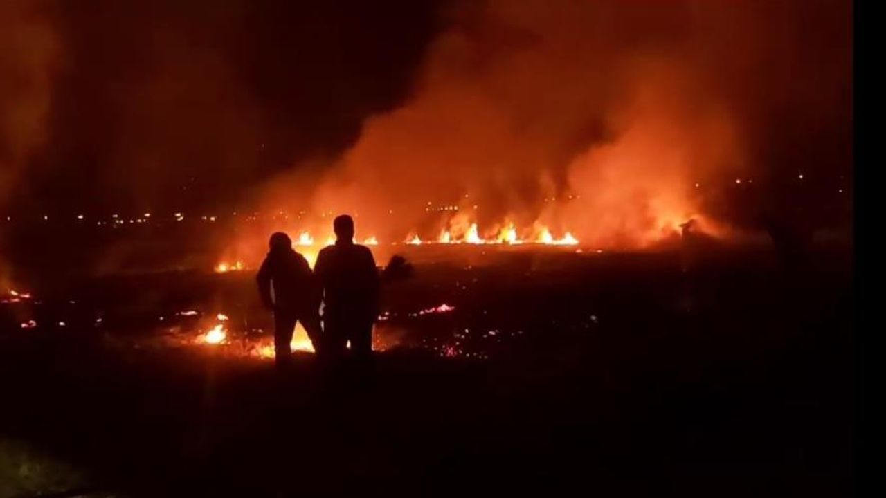 Erzincan’da anız yangını