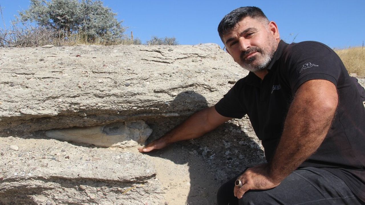 Sivas'ta binlerce yıllık kemik bulundu