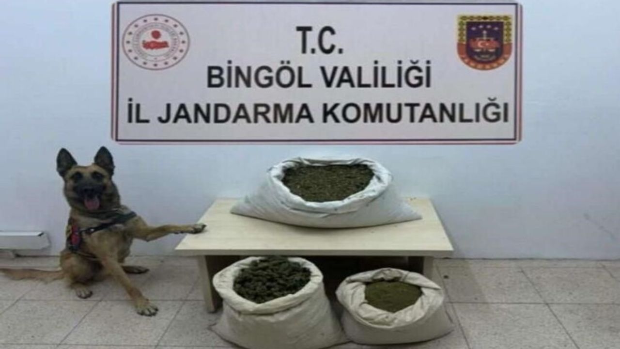 Bingöl’de 6 arazide uyuşturucu madde ele geçirildi
