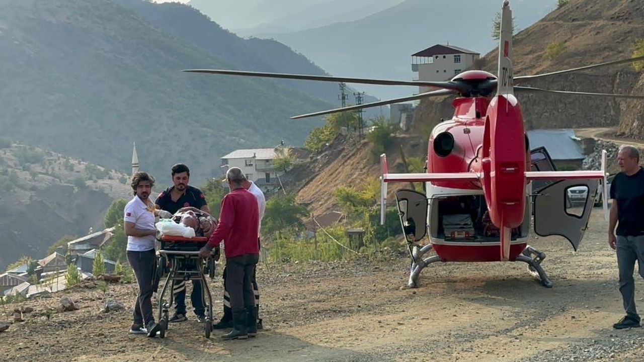 Ağaçtan düştü yardımına ambulans helikopter yetişti