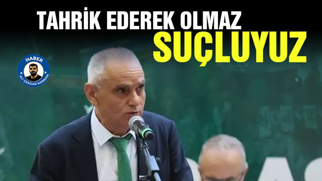 Bursaspor Başkanı: Tahrik ederek olmaz, suçluyuz