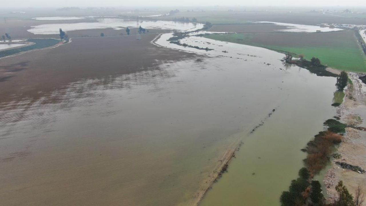 Asi Nehri tarım arazilerini su altında bıraktı