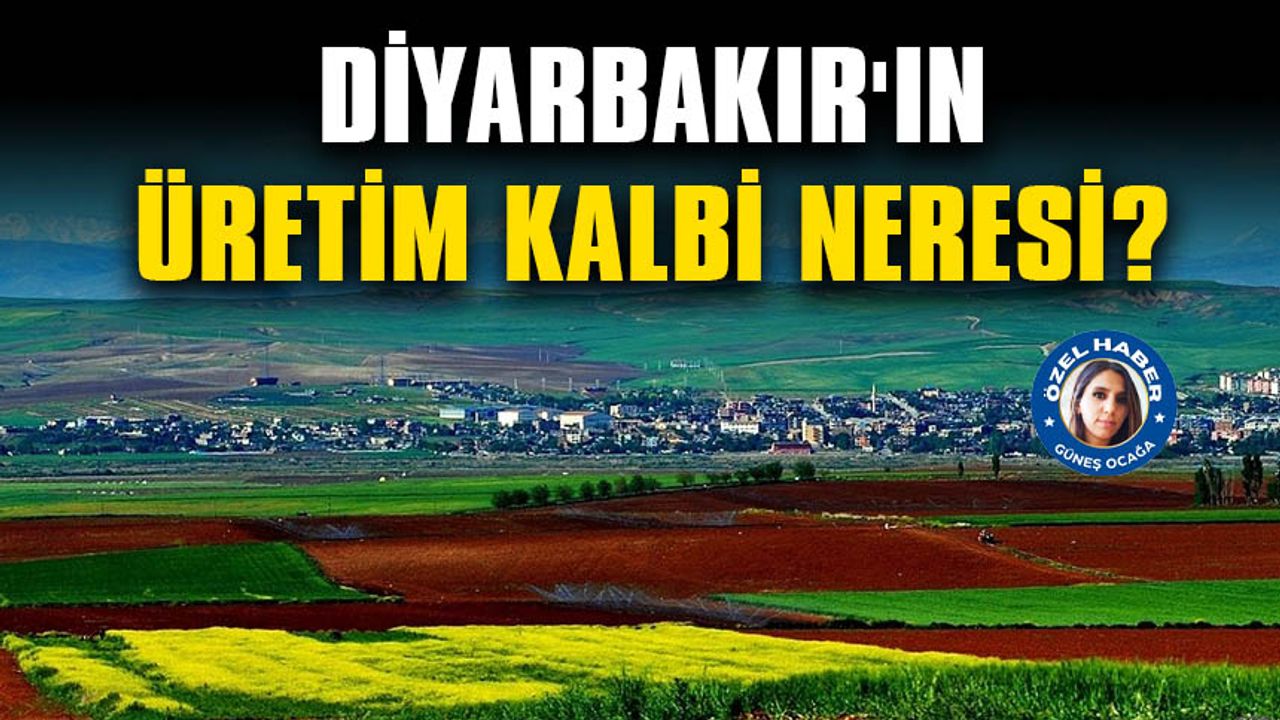 Diyarbakır'ın üretim kalbi neresi?