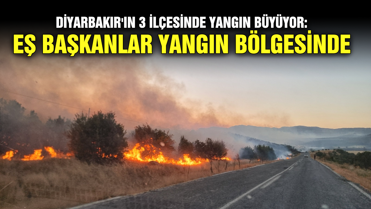 Diyarbakır'ın 3 ilçesinde yangın büyüyor: Eş Başkanlar yangın bölgesinde