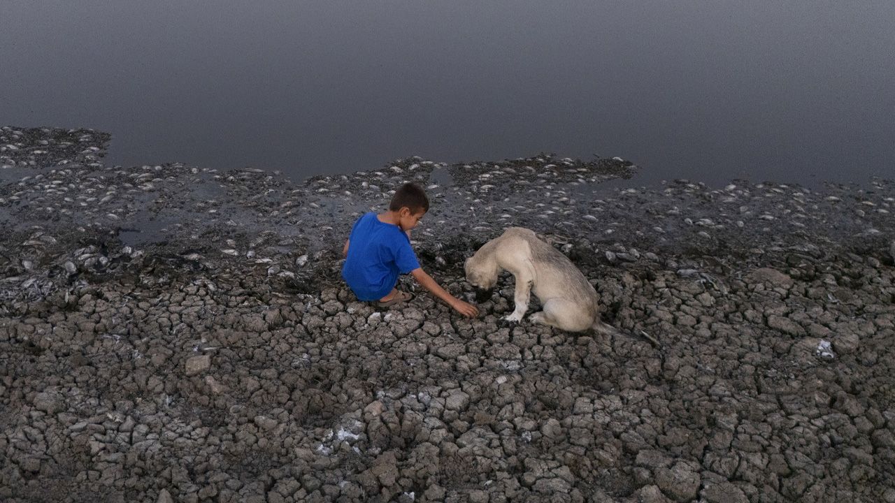 Kuraklık tehdidi büyüyor: Mardin'deki manzara ürkütücü!