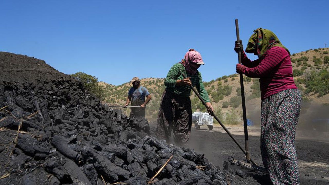 Mardin-Ankara hattında ekmek kavgası