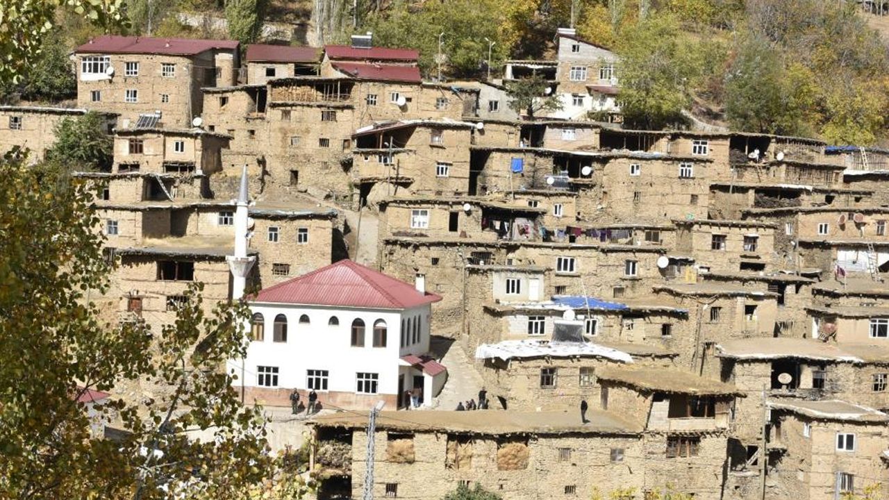 Bitlis ve Van arasında dikkat çeken bir köy!