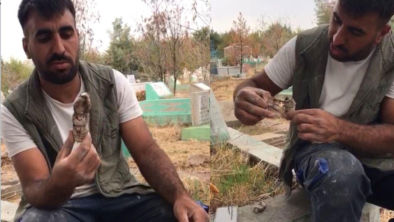 Diyarbakır’da mezarlıkta şok eden bir büyü bulundu