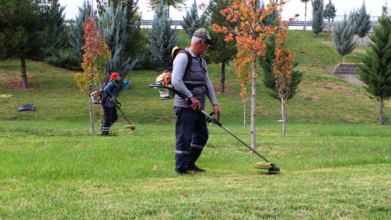Diyarbakır’da ekipler budama seferberliğinde
