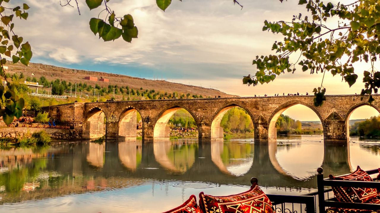Diyarbakır’da yetişiyor, dünyada eşi yok: Bu mor hazine şifa saçıyor!