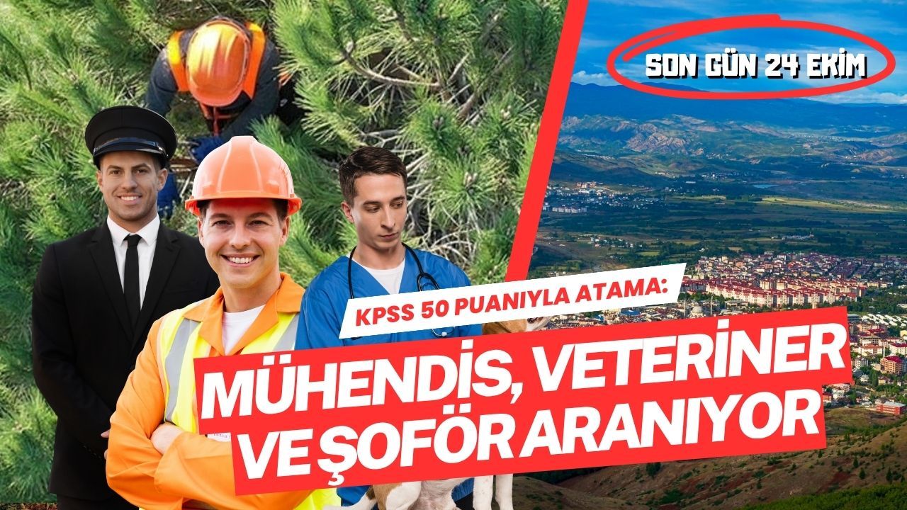 KPSS 50 Puanıyla Atama: Bingöl'de Mühendis, Veteriner ve Şoför Aranıyor