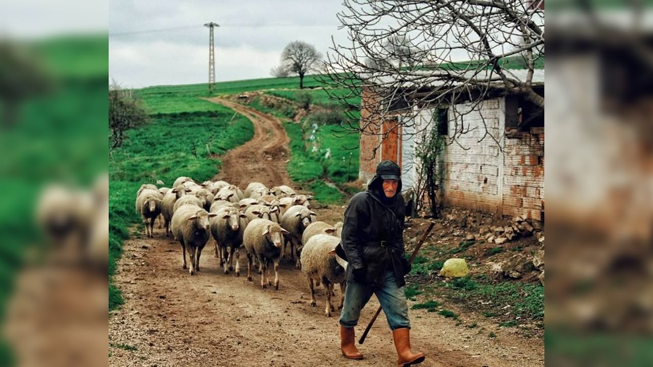 Türkiye’nin en “yaratıcı” köy isimleri: Kimi güldürür, kimi şaşırtır!