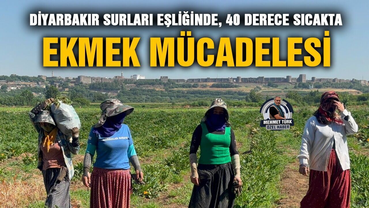 Diyarbakır Surları eşliğinde, 40 derece sıcakta ekmek mücadelesi
