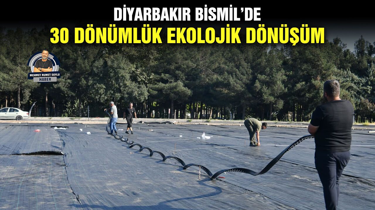 Diyarbakır Bismil’de 30 dönümlük ekolojik dönüşüm