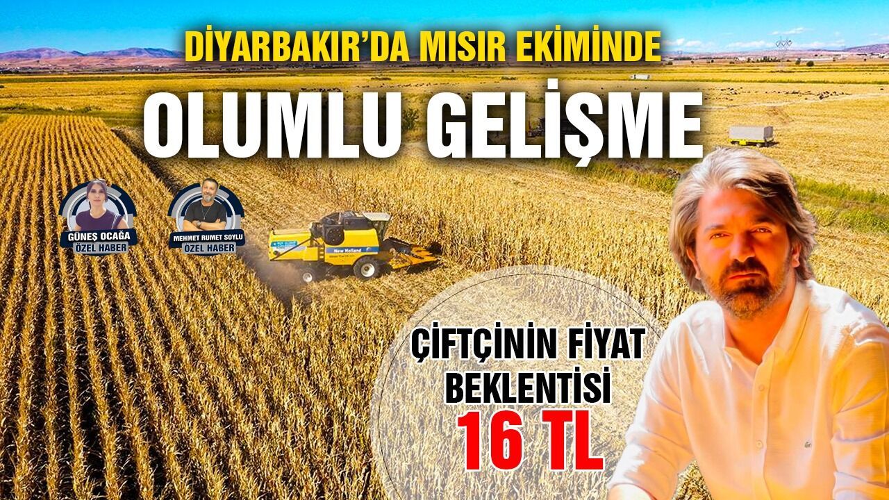 Diyarbakır’da mısır ekiminde olumlu gelişme: Çiftçinin fiyat beklentisi 16 TL