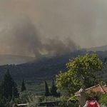 Orman yangınında yerleşim yerleri tahliye ediliyor