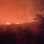Diyarbakır'da 3 ilçede yangın