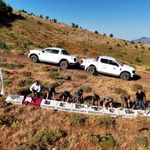 Diyarbakır'da keneye karşı kınalı keklik