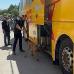 Sivas'ta Madımak yürüyüşünde polisin dedektör köpekli araması