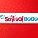 Sayısal Loto sonuçları 31 Ağustos Pazartesi: Kazanan numaralar ve ikramiye tutarları