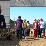 Diyarbakır Büyükşehir Belediyesinden Serra Bucak ile ilgili paylaşımlara tepki