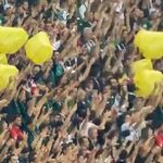 Kocaeli-Amedspor maçında Sarı torbalıların kimlikleri tespit edildi