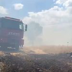 Diyarbakır'da örtü ve orman yangınında geniş alan zarar gördü