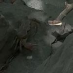 Yüksekova’da dev yengeç görüntülendi