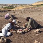 Diyarbakır’da tarihe ışık tutan maden keşfedildi