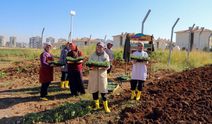 Diyarbakır’da kadınlar kışlık üretime başladı!