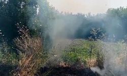 VİDEO- Hevsel Bahçeleri yanmaktan son anda kurtuldu