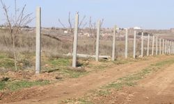 Diyarbakır'da 'Bahçeli Ormanı' için ayrılan bölge kapatılıyor
