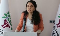 HDP'li Günay'dan operasyon tepkisi: Rojava’dan ne istiyorsunuz?