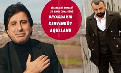 Şerif Kayran ve Serkan Reçber Diyarbakır'da konser verecek
