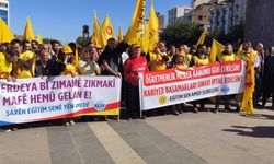 Diyarbakır'da Eğitim Sen üyeleri iş bırakma eylemi yaptı 