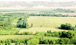 DÜ Rektörlüğü’nün imara açtığı 157 hektarlık alana tepki