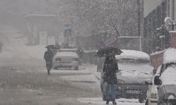Bitlis de beyaza büründü: Kar kalınlığı 10 santimetreyi geçti