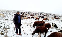 Kars’ta göçerlerin zorlu yolculuğu sürüyor