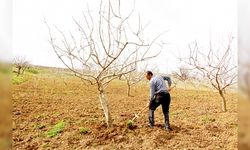 Siirt’te kuraklık endişesi çiftçileri korkutuyor