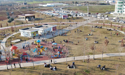 Güneşli havayı gören Diyarbakırlılar parkalara akın etti (VİDEO)