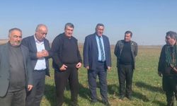 Çiftçilerin kuraklık kaygısı: Tohumlar yüzeye çıktı