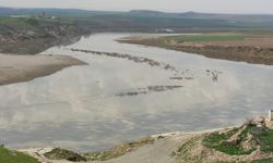 Dicle Nehri'ne tonlarca ham petrol aktı (VİDEO)