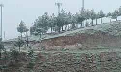 Diyarbakır kışa kapıyı açtı: İlk kar düştü!