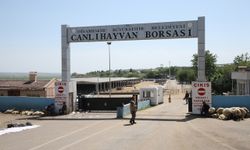 Diyarbakır Canlı Hayvan Borsası kapatıldı