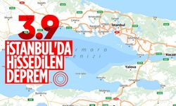 Marmara Denizi'nde 3.9 büyüklüğünde deprem! İstanbul'da hissedildi