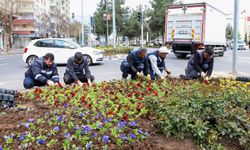 Diyarbakır'da mevsimlik çiçek dikimi sürüyor