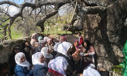Diyarbakır’da ‘Murat Şenlikleri’ yapıldı