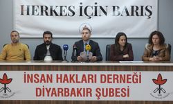 İHD Diyarbakır Şubesi Mikail Ekinci raporunu açıkladı